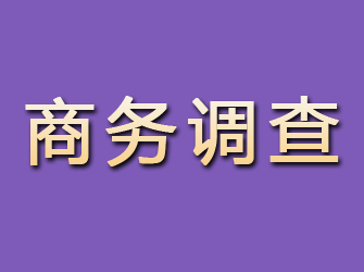 建平商务调查